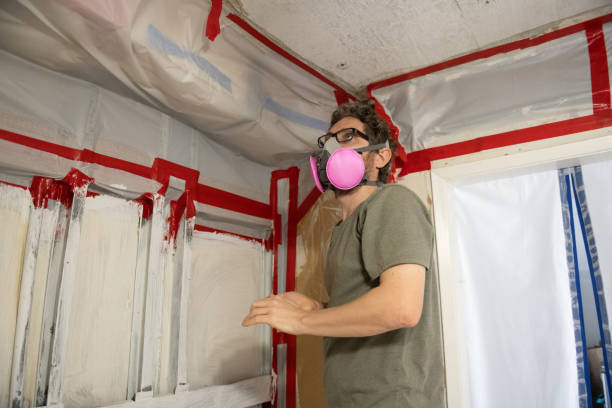 Best HVAC Mold Inspection and Cleaning  in Holton, KS