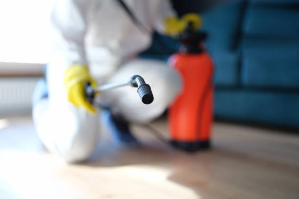 Mold Remediation for Rental Properties in Holton, KS